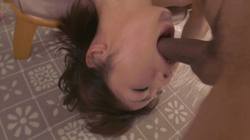 麻豆国产va免费精品高清在线