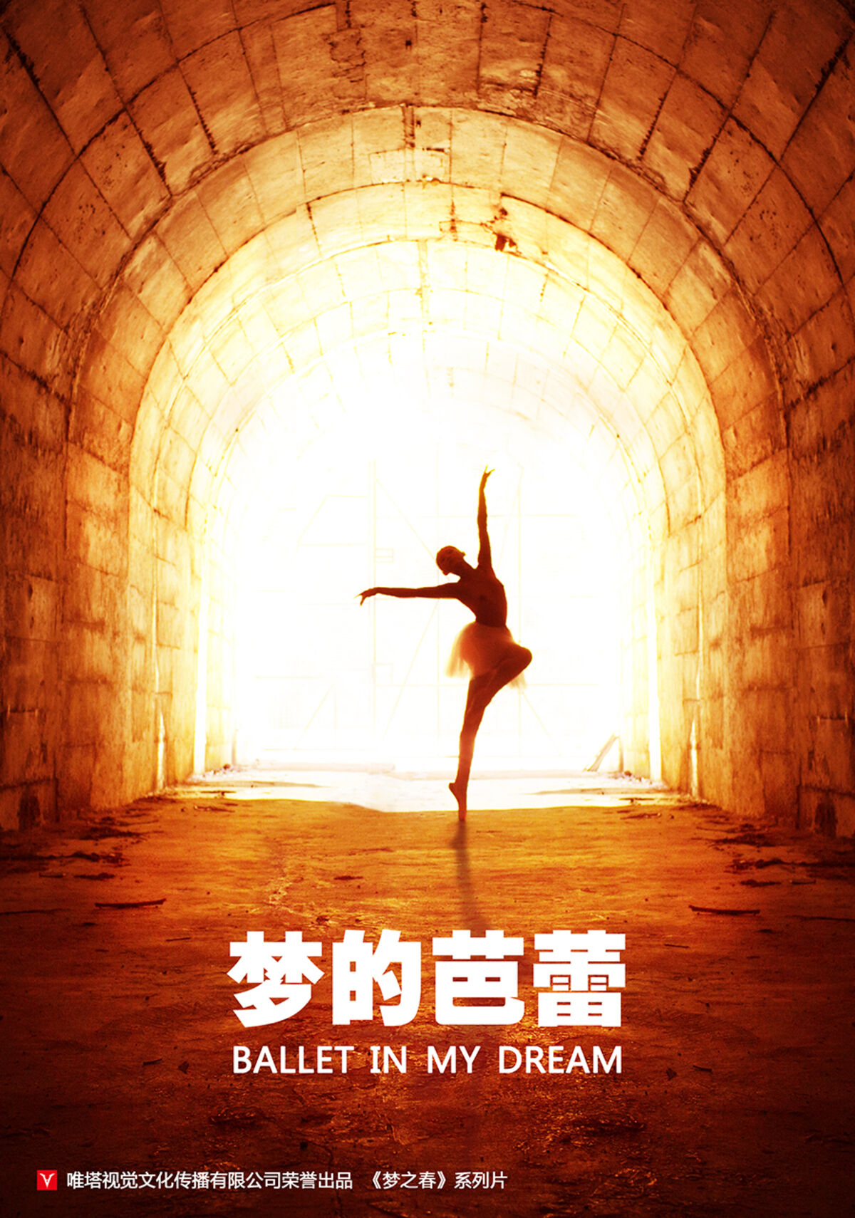 无码精品99er - BD高清视频观看