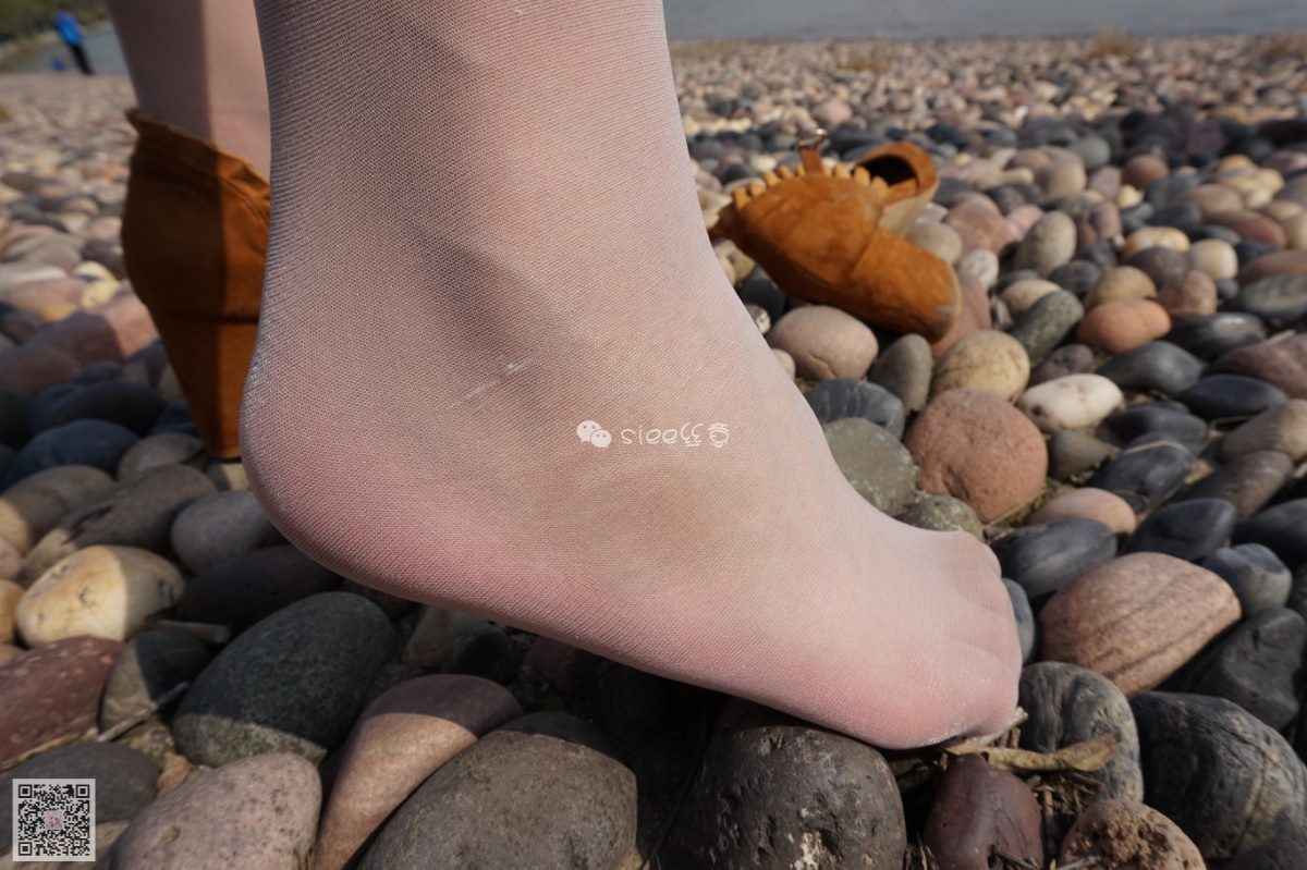 无码视频一区二区三区四区五区六区